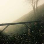 Diana Walker Profile Picture
