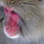 Trycia Kiehn Profile Picture