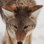Naomi Flatley Profile Picture