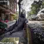 Otho Wisozk Profile Picture