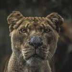 Fidel Sauer Profile Picture